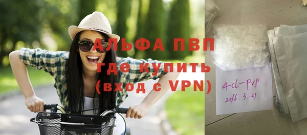 стафф Аркадак