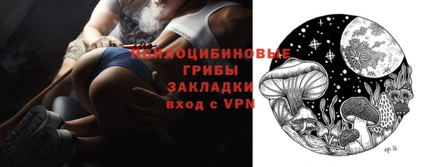 стафф Аркадак