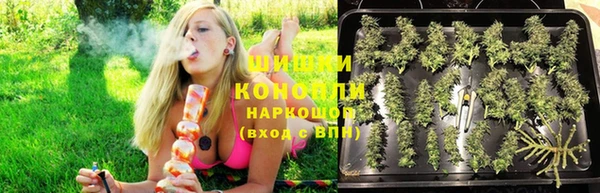 стафф Аркадак