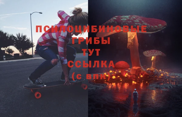 герыч Арсеньев