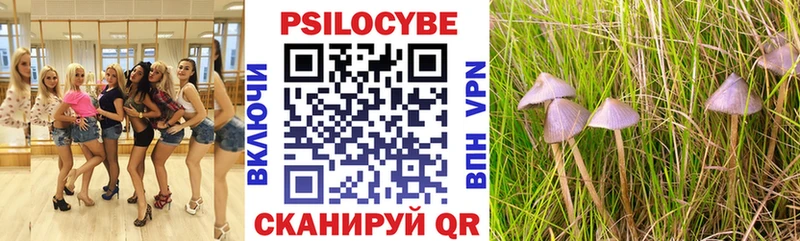Псилоцибиновые грибы мухоморы  гидра ссылка  Усолье-Сибирское  даркнет телеграм  как найти  
